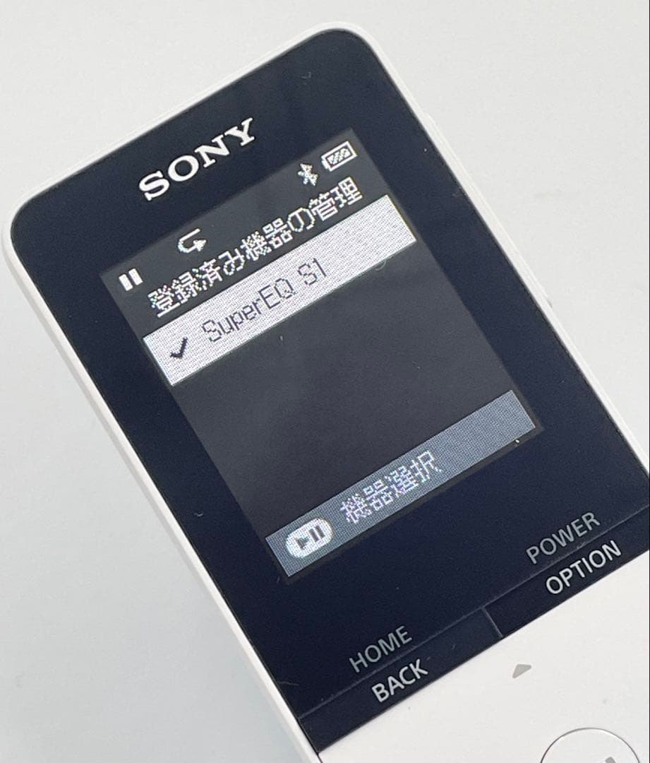 バッテリー良好　外観極美品　SONY WALKMAN NW-S315 16GB
