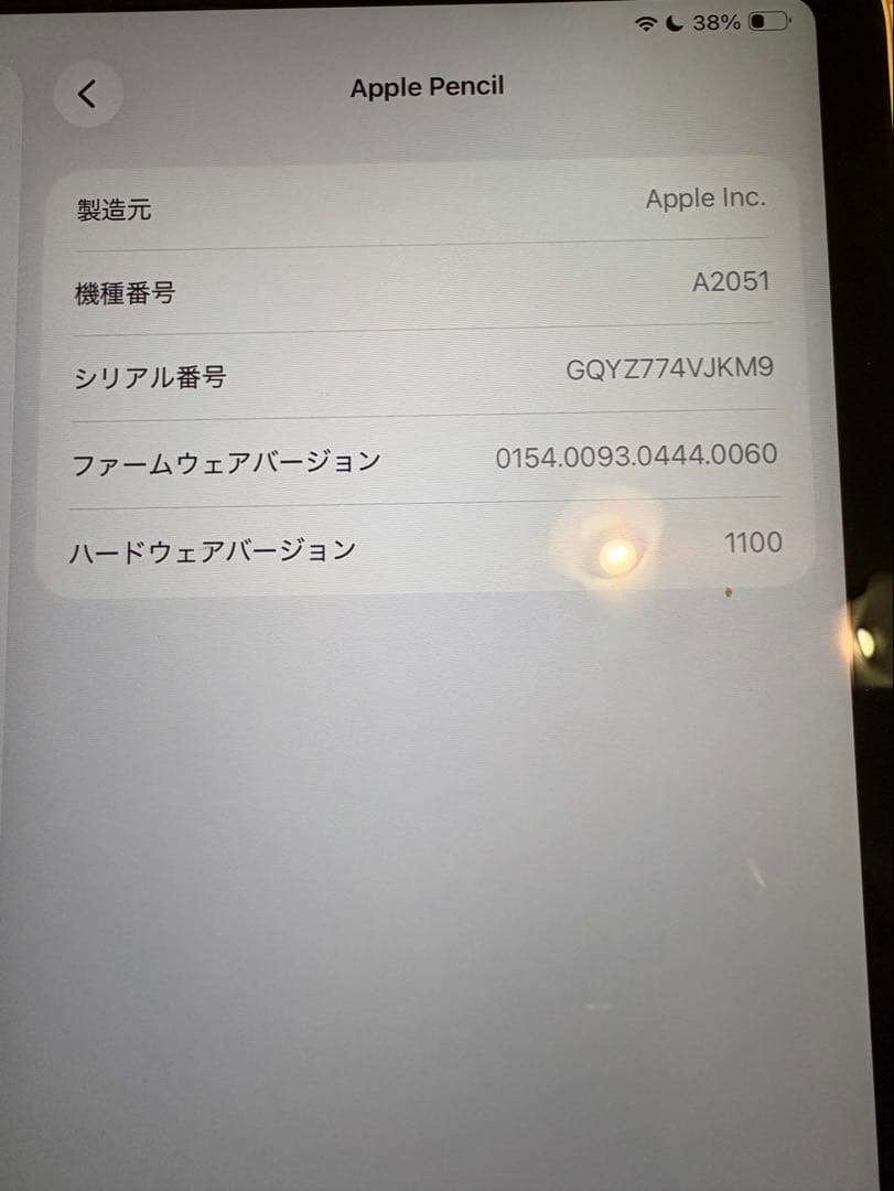 iPad Pro 11インチ 第1世代 Applepencil 256GB