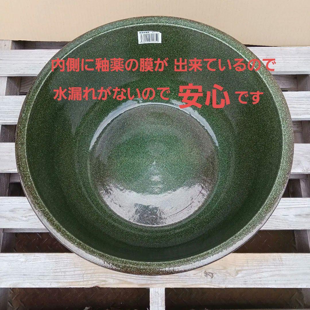 新品　∅50　陶器睡蓮鉢　特大　メダカ鉢　難有　エメラルドグリーン　緑黒　LBK