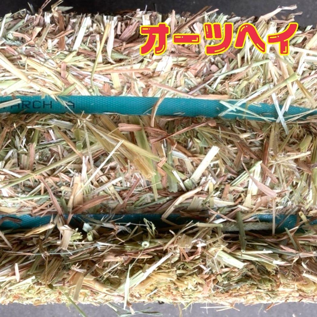 チモシー　スーパープレミアム　10kg＋オーツ スーパープレミアム　8kg