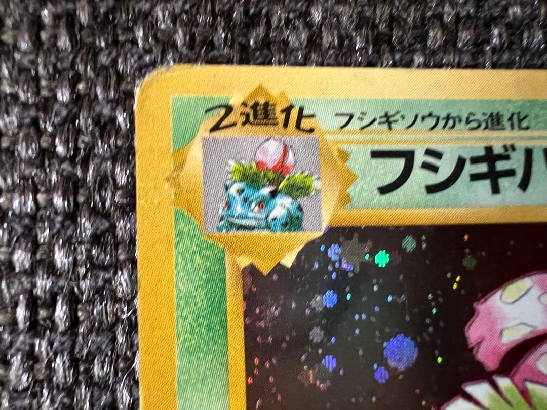 旧裏 フシギバナ GBプロモ 初代 1998 No.003 ポケモンカード