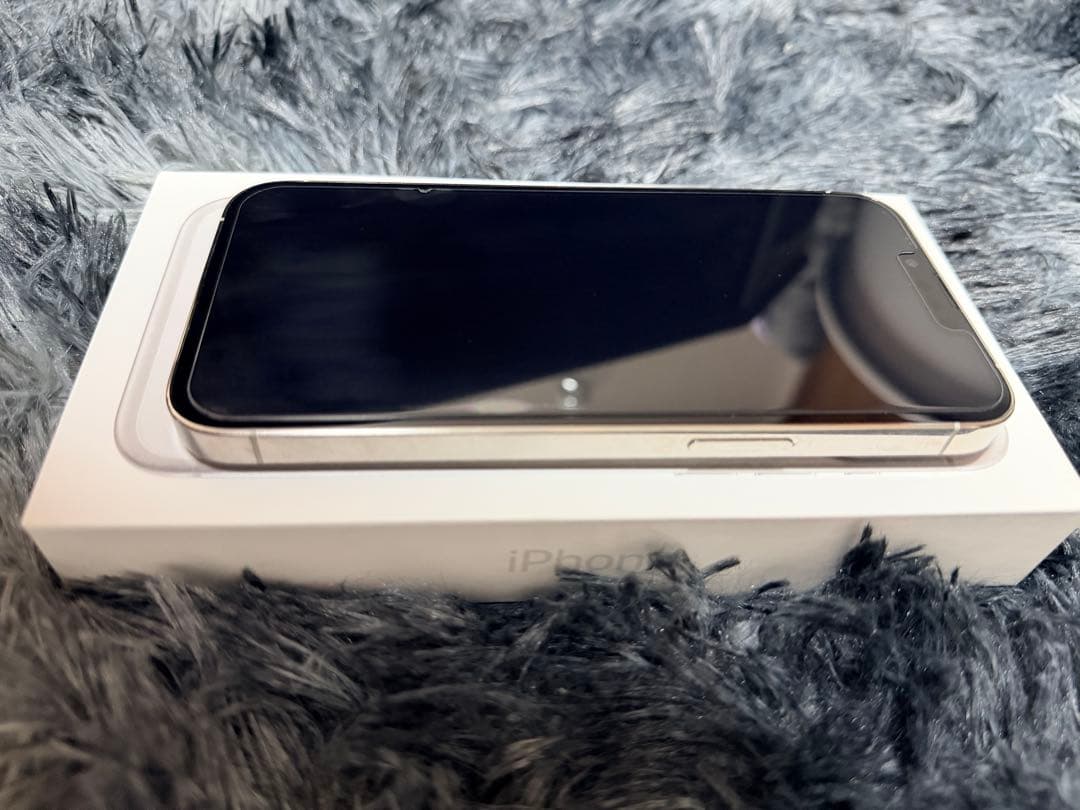 iPhone13pro 本体 シルバー