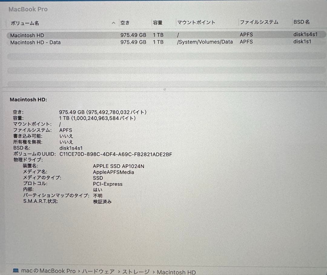 【1TB大容量！】MacBook Pro 16インチ Intel Core i9