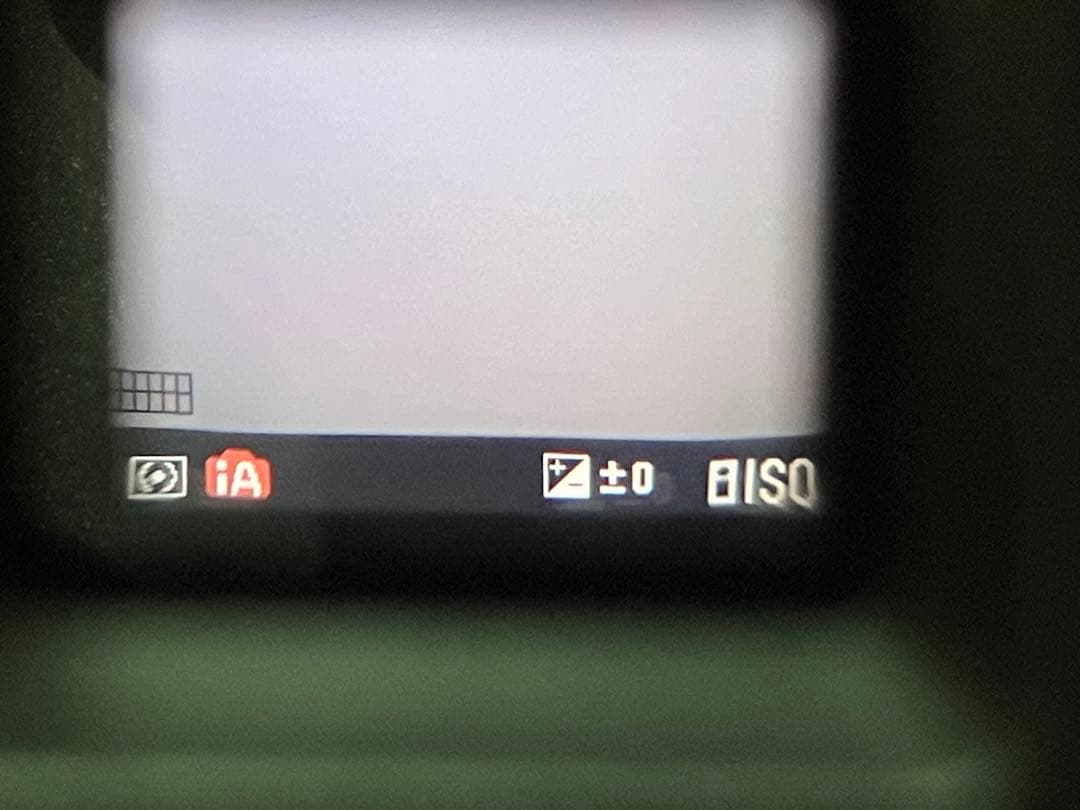 Panasonic DMC-GH2 本体