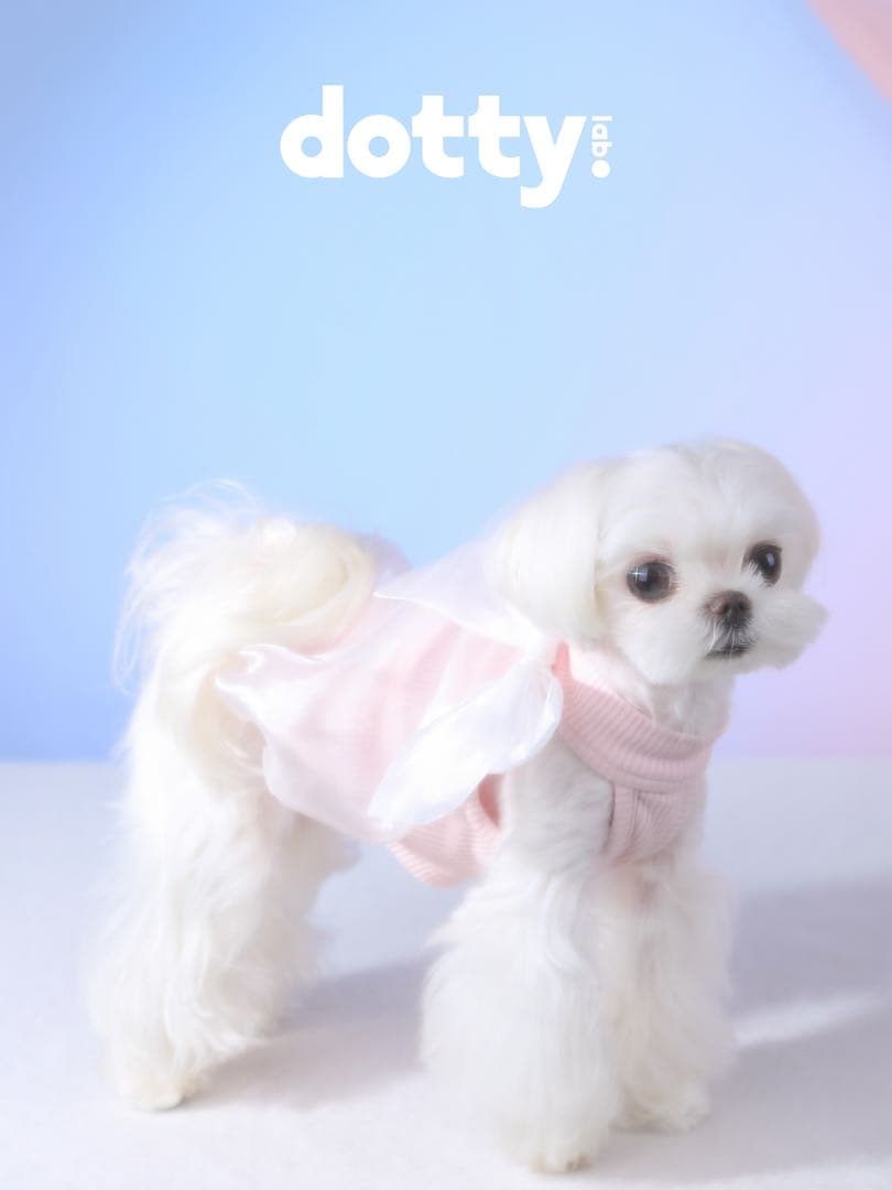 dotty lab.オリジナル リボン バブルタンクトップ 春夏用 ペット服