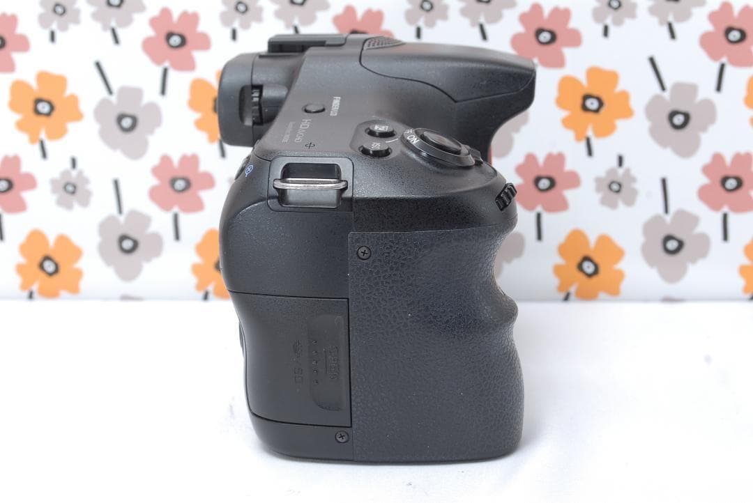 ❤即購入1000円OFF❤SONY α65❤超望遠トリプルレンズ❤超高画質❤