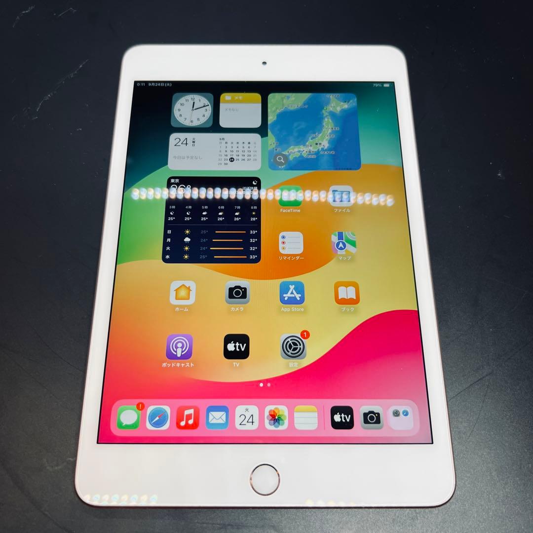 【Wi-Fi版】 iPad mini 第5世代 mini5 64GB 本体