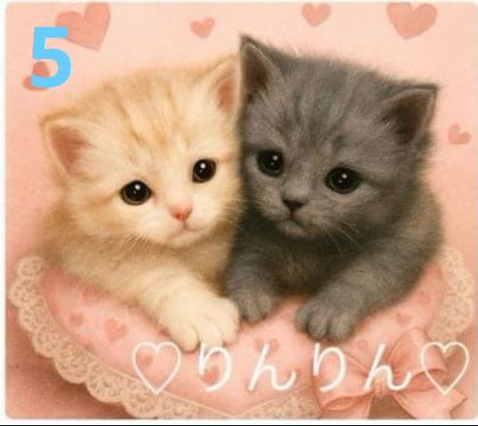 ご確認用　りんりん様パネル2種類　ねこちゃん柄　ハンカチ　ハンドメイド12/14