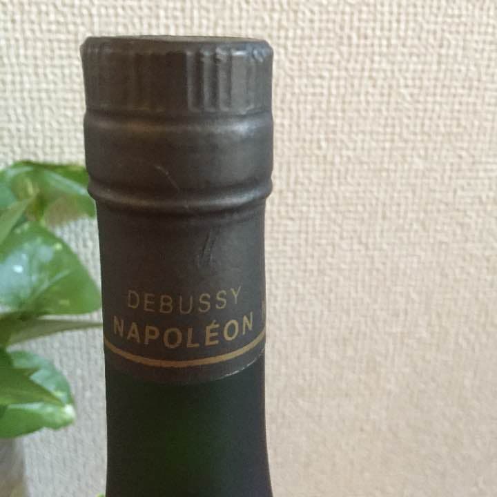 その他 NAPOLEON DEBUSSY