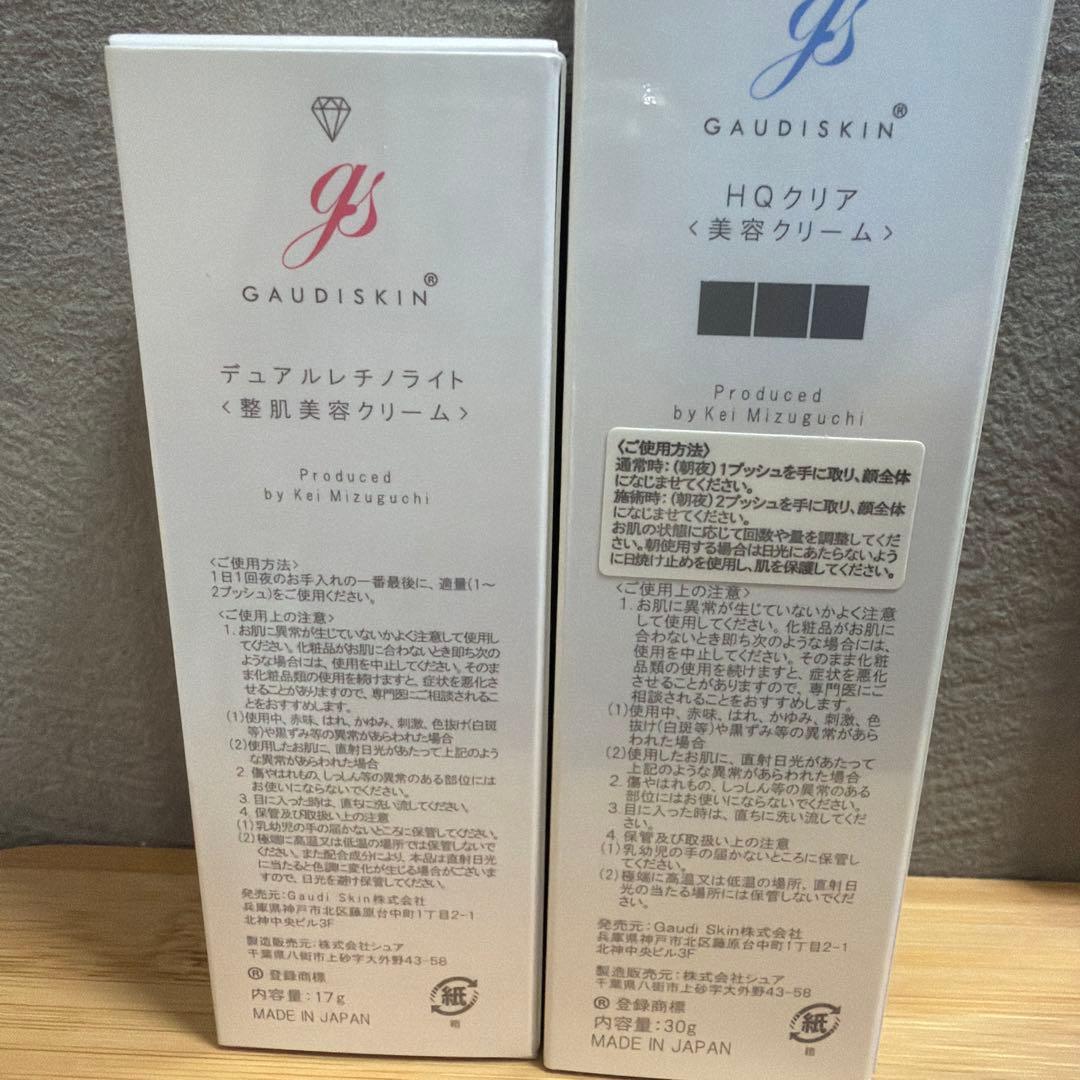ガウディスキン
