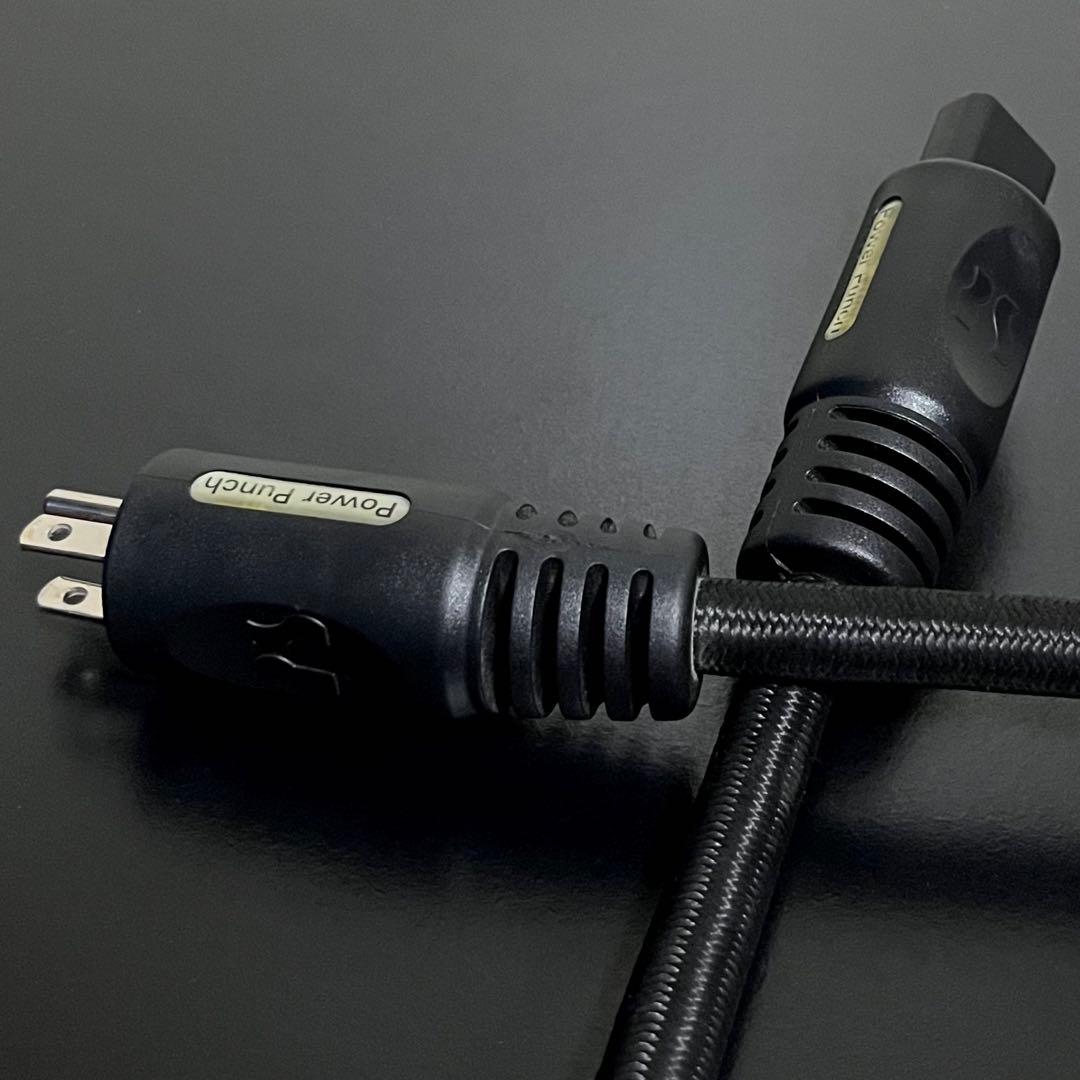 PS AUDIO XPC POWER PUNCH 電源ケーブル 1m