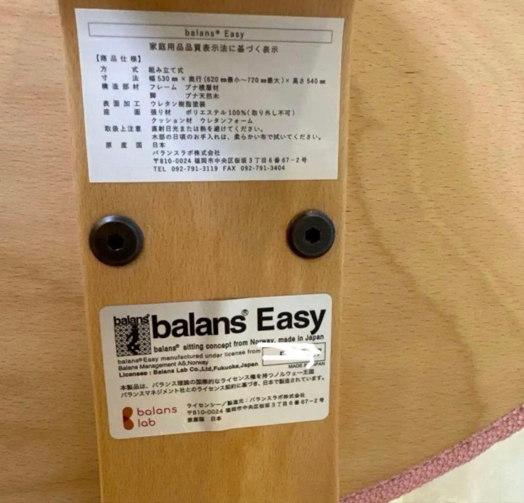 balansEasy バランスイージー スタンダード　骨盤・姿勢矯正