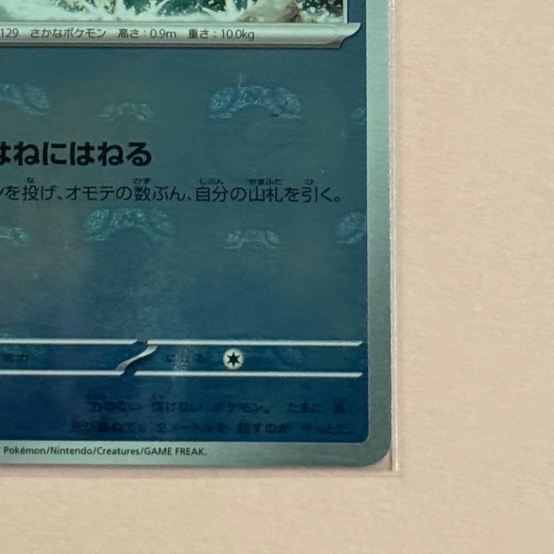ポケモンカード マスターボール　コイキング