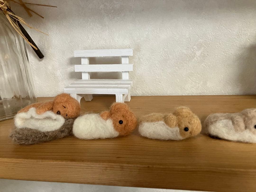 毛布を持って眠るトイプードル　オーダー見本