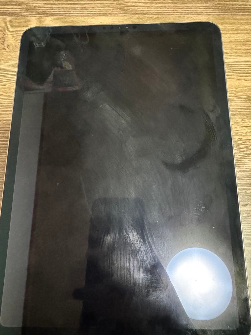 iPad本体 Apple iPad Pro