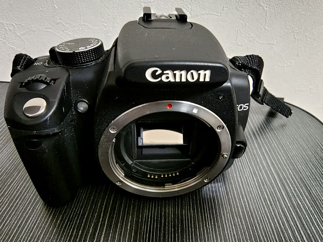【動作確認済】Canon EOS Kiss Digital N 解説本付