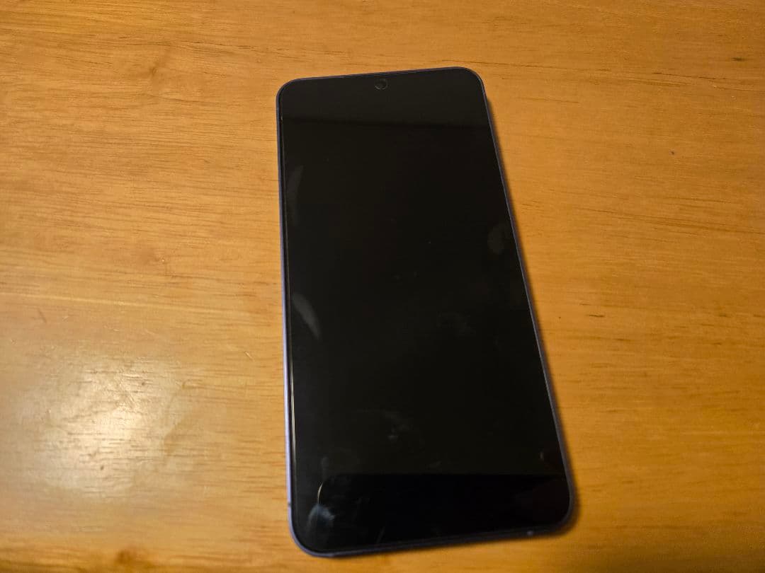 美品 GalaxyS24 SC-51E 256GB docomo SIMフリー