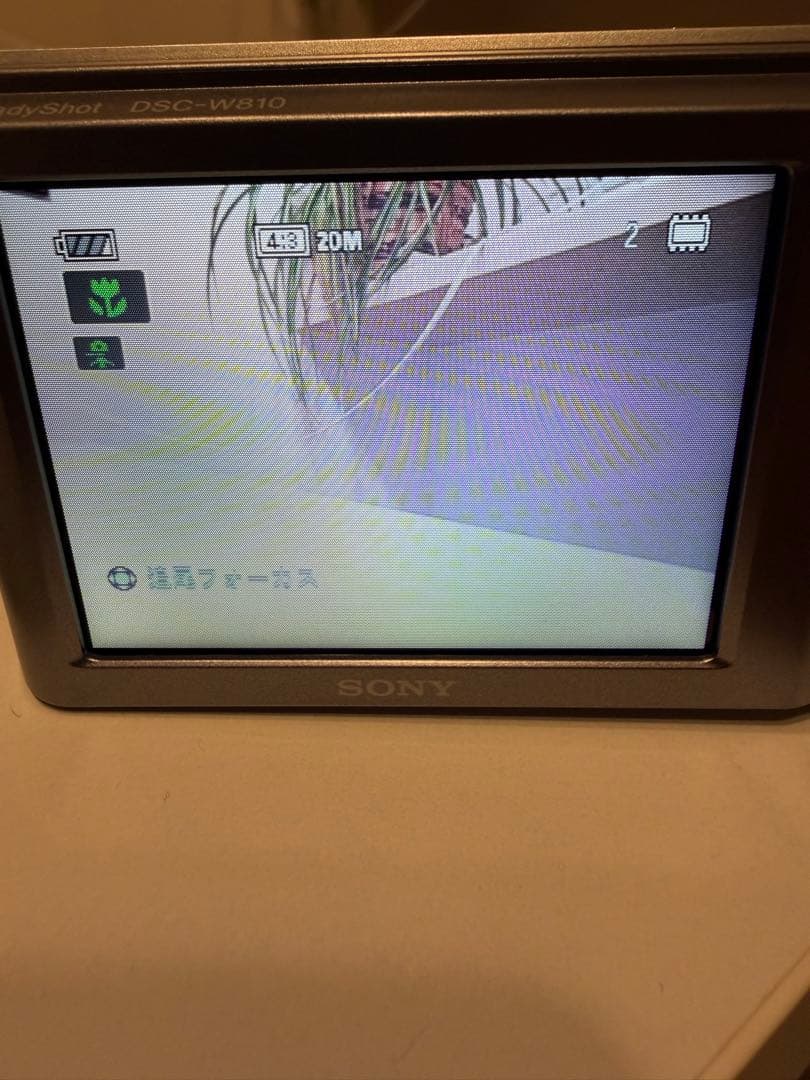 デジタルカメラ Sony cyber-shot dsc-w810