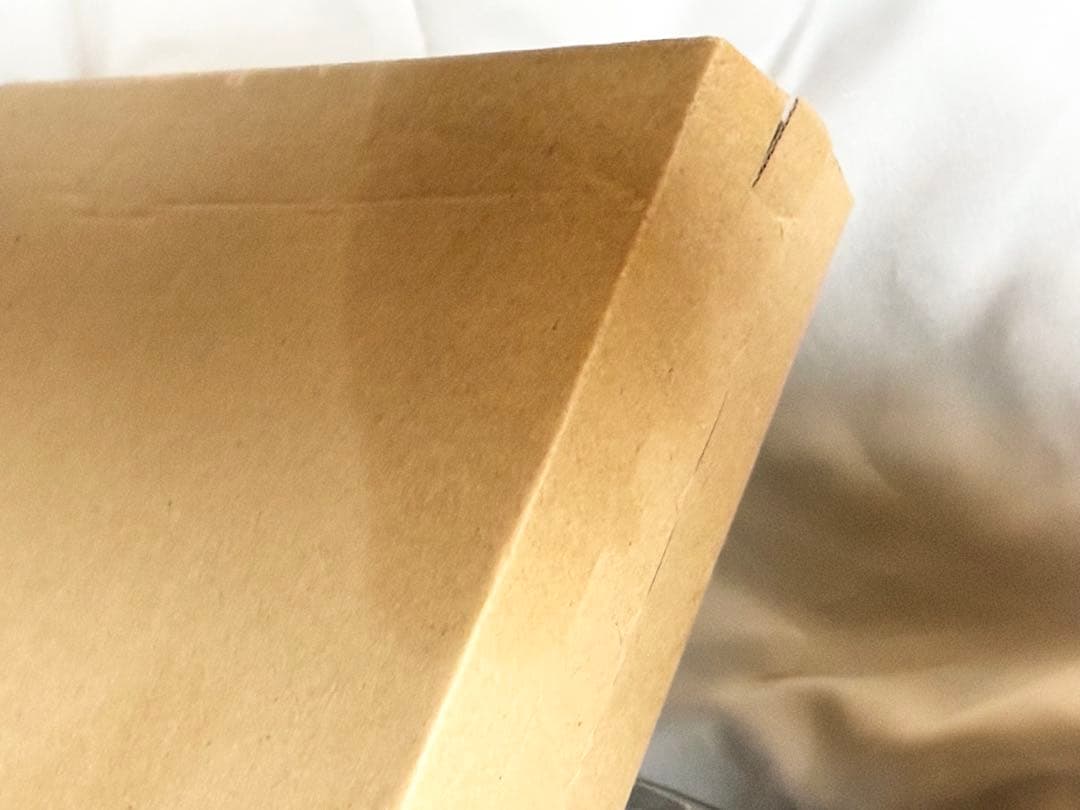 リラクリフェアーシングマットスタートセット 68×25cmZT100美品1回使用