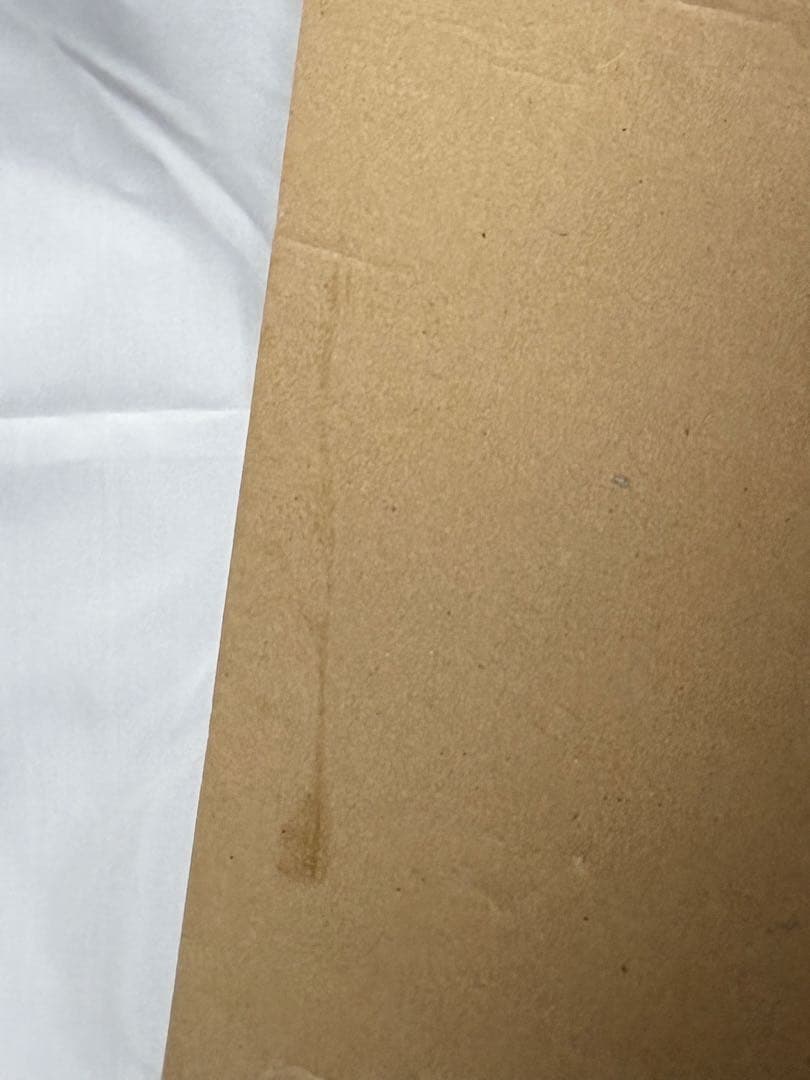 リラクリフェアーシングマットスタートセット 68×25cmZT100美品1回使用