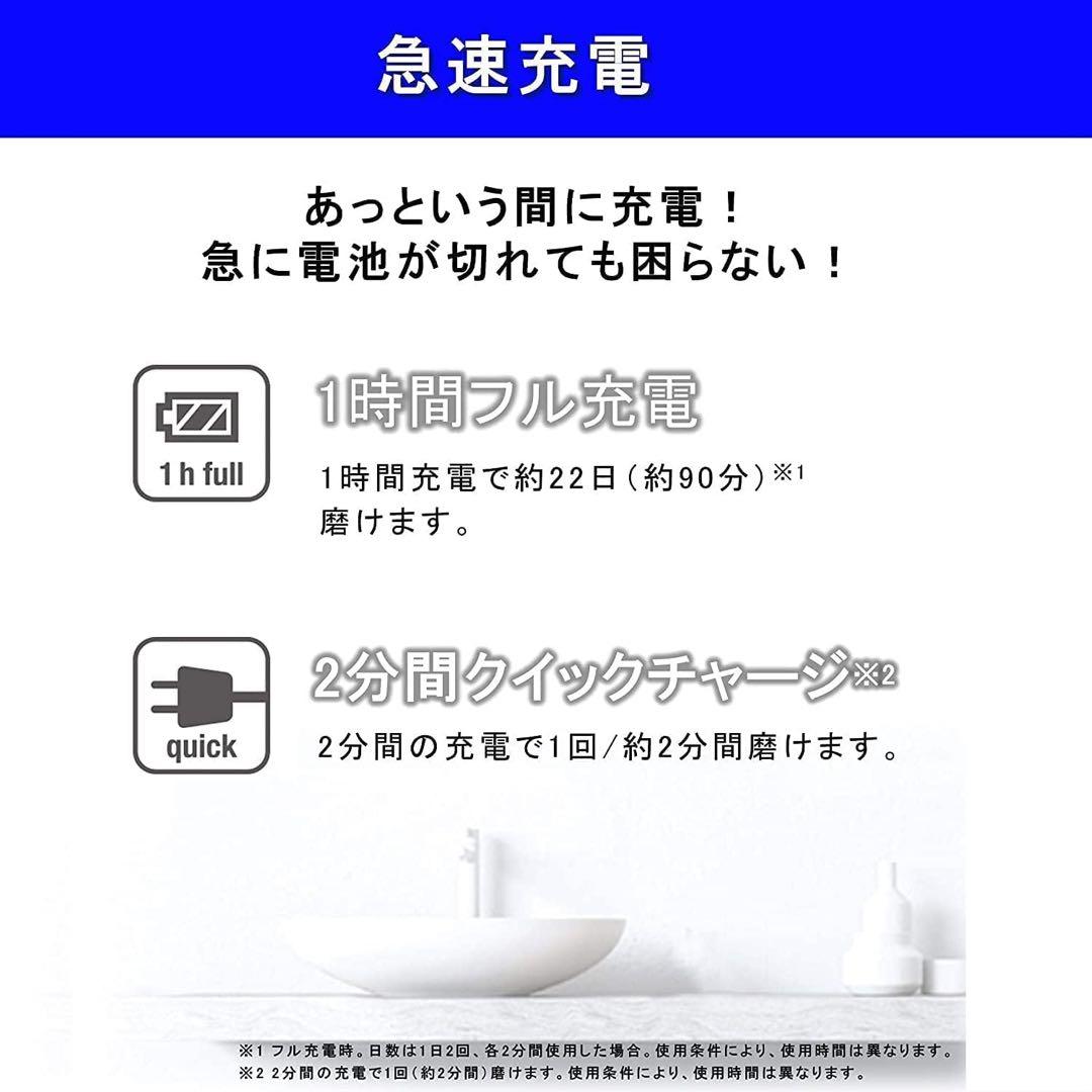 Panasonic DP52 音波振動歯ブラシ ドルツ ケース 説明書付き