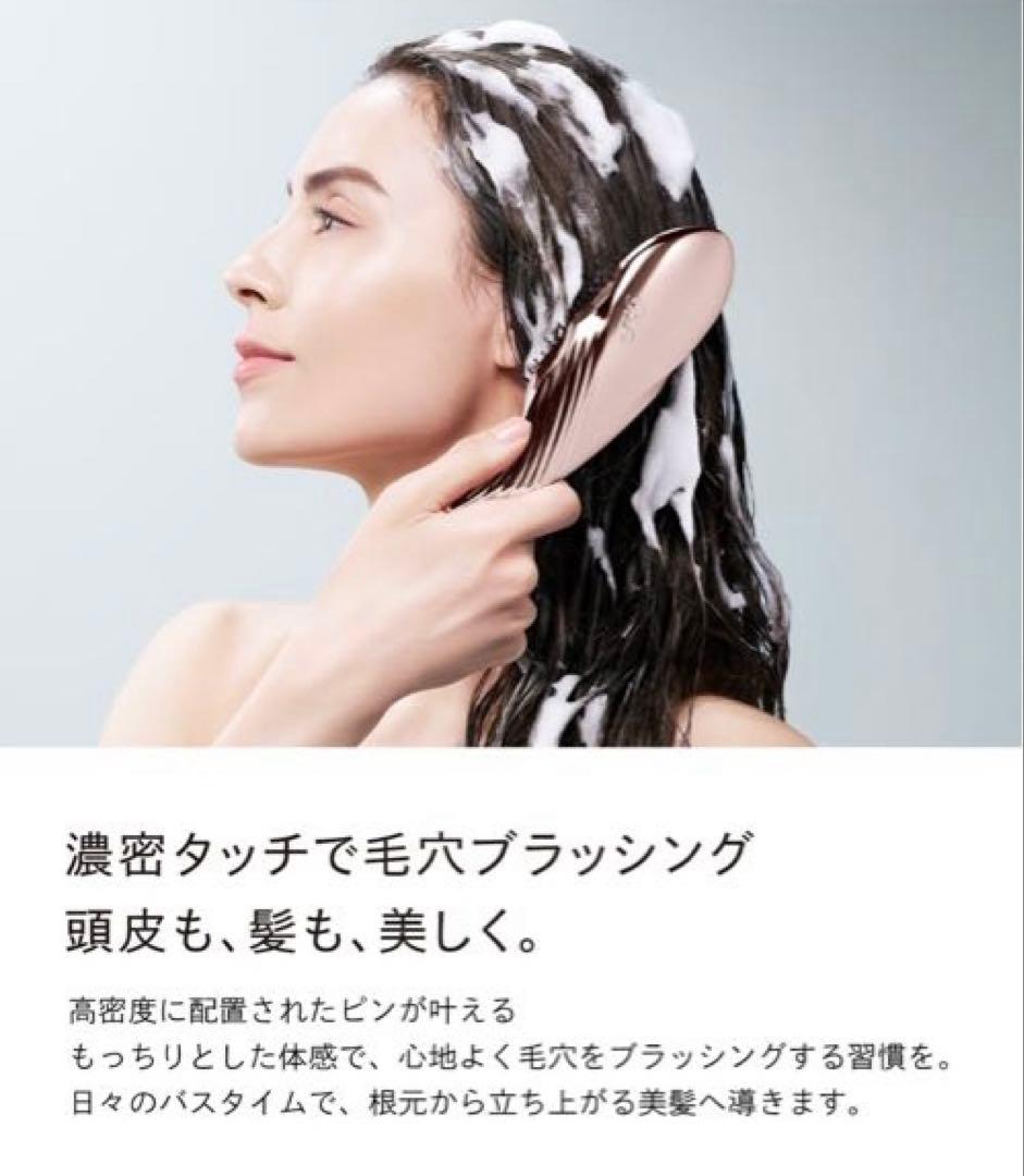 新品☆イオンケアブラシプレミアム/ReFa ホワイト
