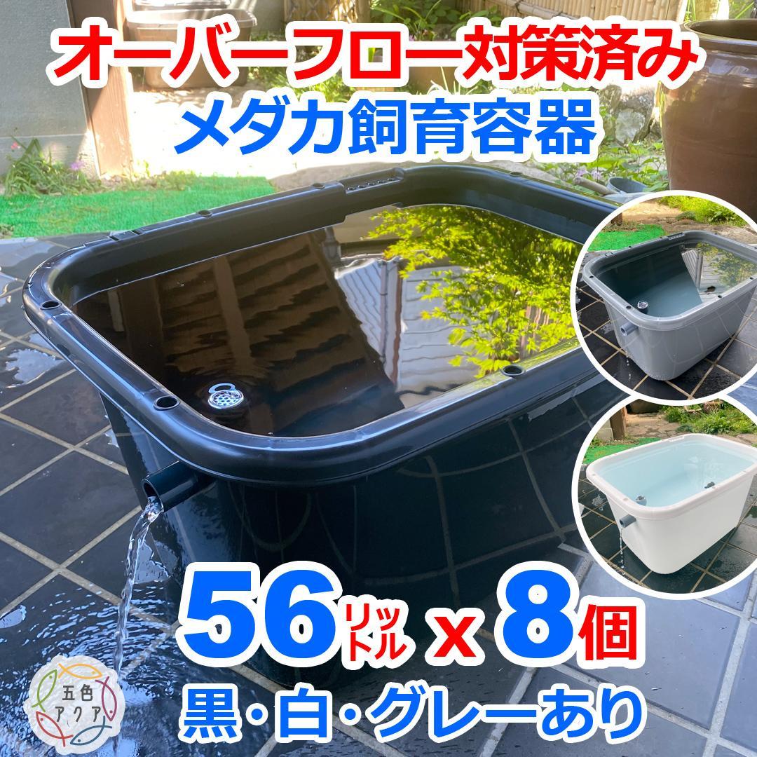 メダカ飼育ケース 56㍑x8個 白黒灰あり オーバーフロー加工済み 五色アクア