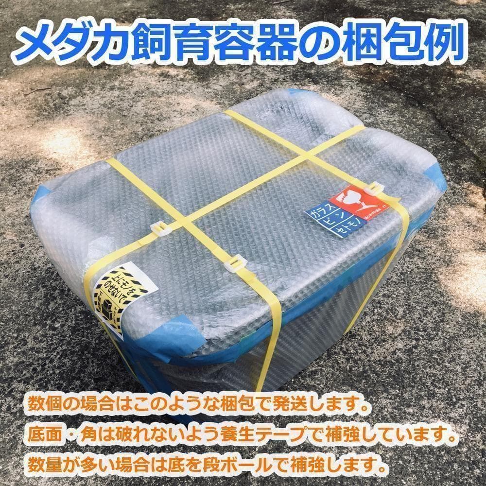 メダカ飼育ケース 56㍑x8個 白黒灰あり オーバーフロー加工済み 五色アクア