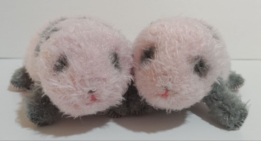ほんとの大きさパンダの仔　4こセット