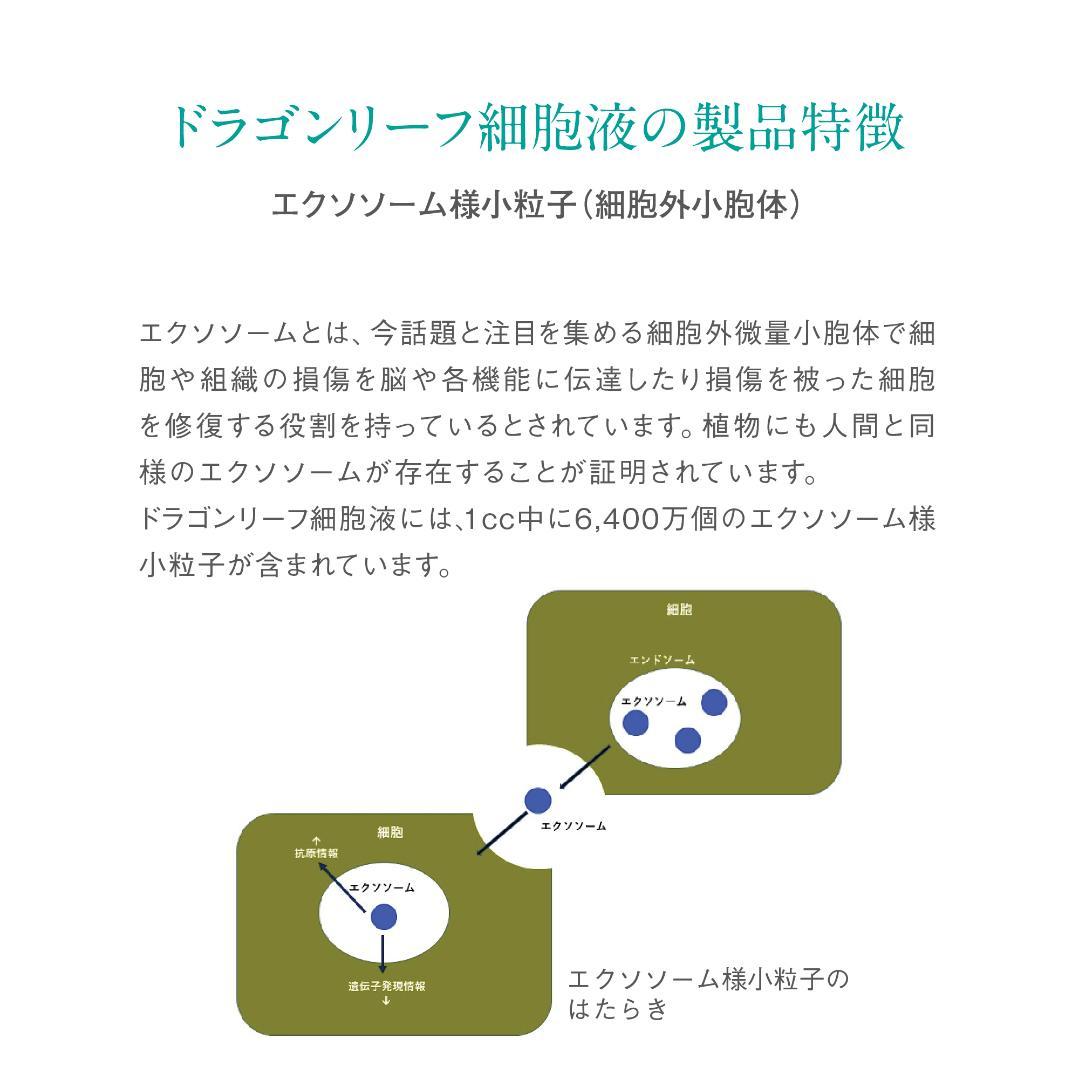 【日本初☆生エクソソーム】EXOTURANオールインワンジェル100ml 2本