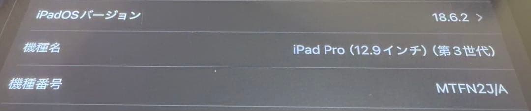 iPad Pro 12.9 第3世代 256GB シルバー 美品 MK付