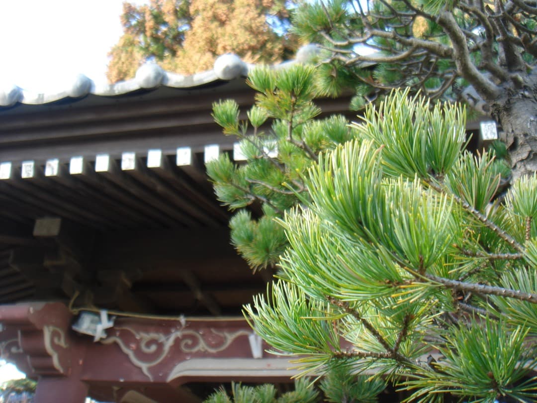 実写美⭕️訳あり【動作確認済】SONY Cyber-shot DSC-T9
