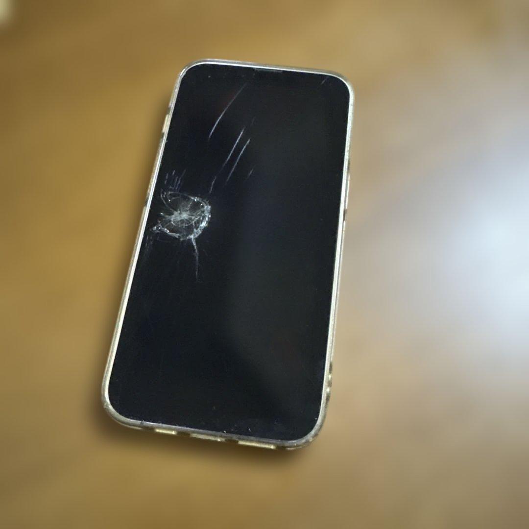 【ジャンク品】【訳あり】【部品取り】iPhone13Pro 256GB