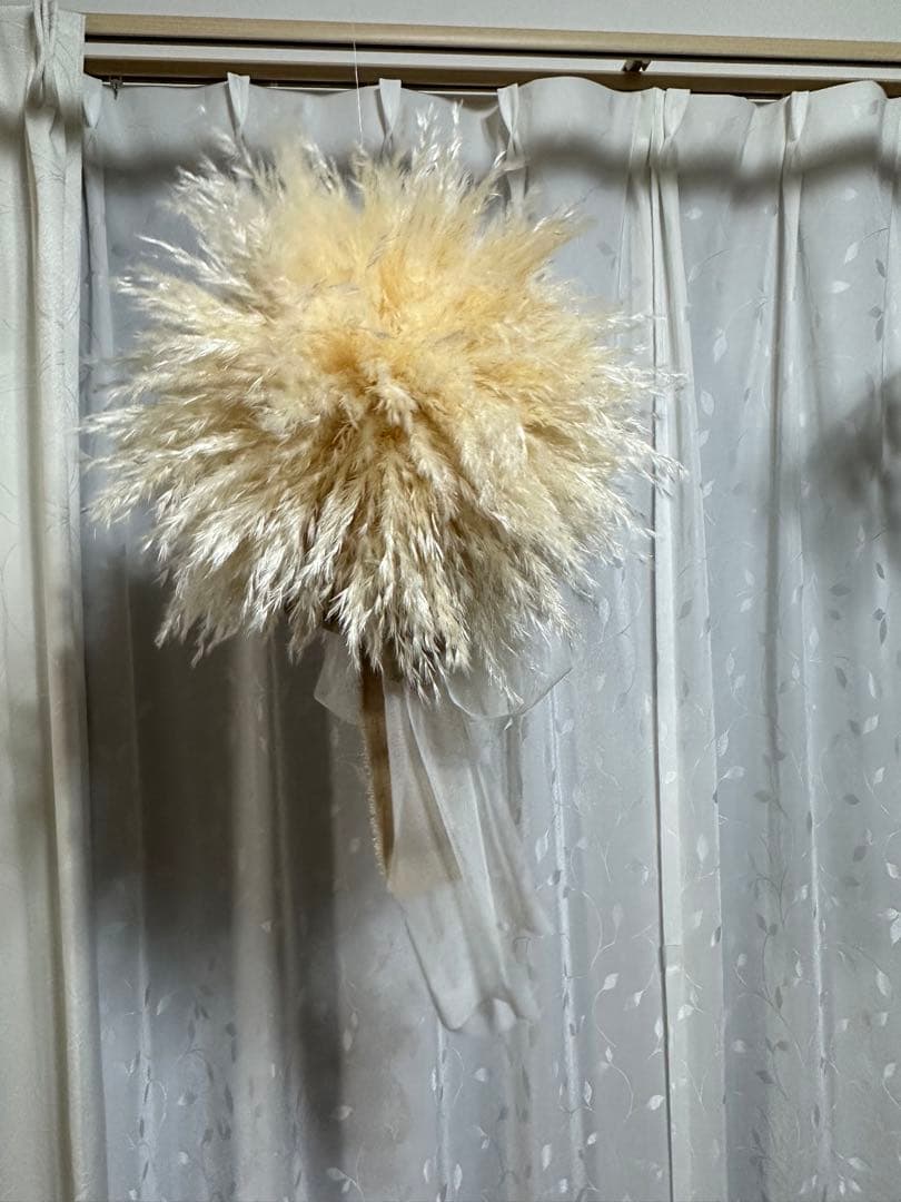 パンパスグラス　フライングボール