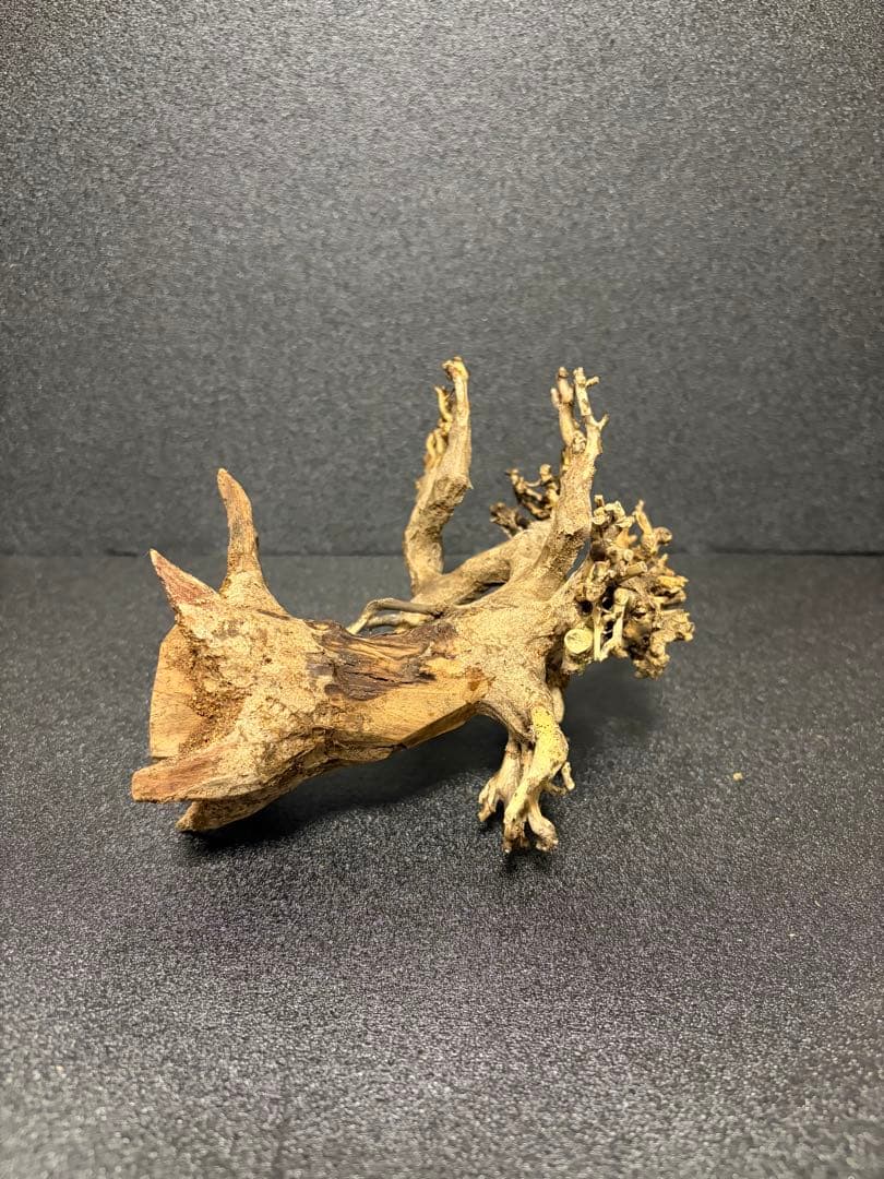 盆栽流木　S