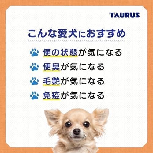トーラス ペット愛犬用 犬由来ブフィズス菌 ドッグB&S 超お徳用1ｇ×72MM