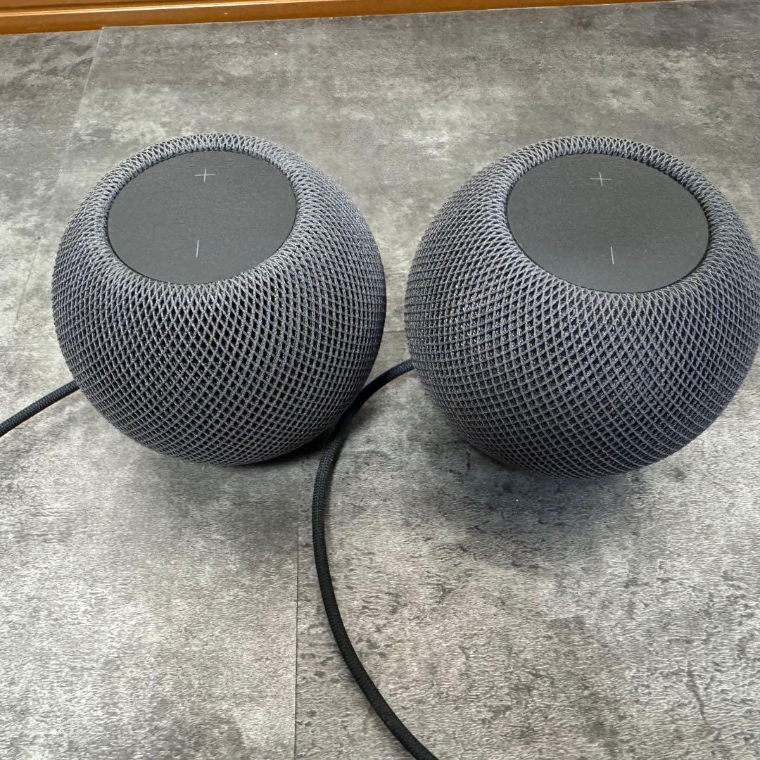 Apple Pod mini ペアセット
