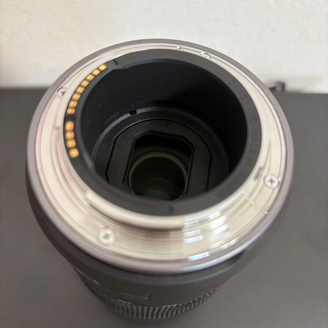 Canon 100-400mm F5.6-8 IS USM RF ズームレンズ