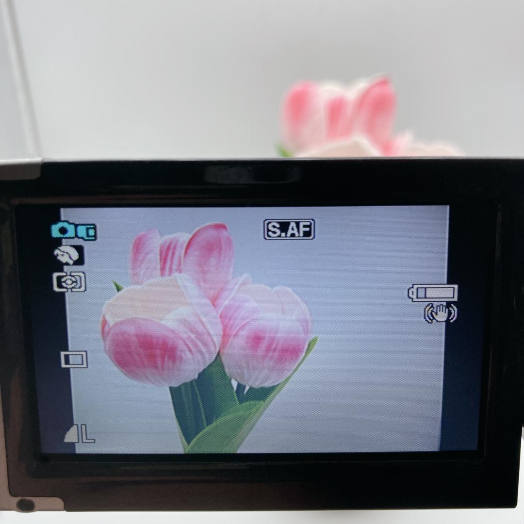 【美品】Canon キャノン iVIS HV10 HDVビデオカメラ 付属品多数