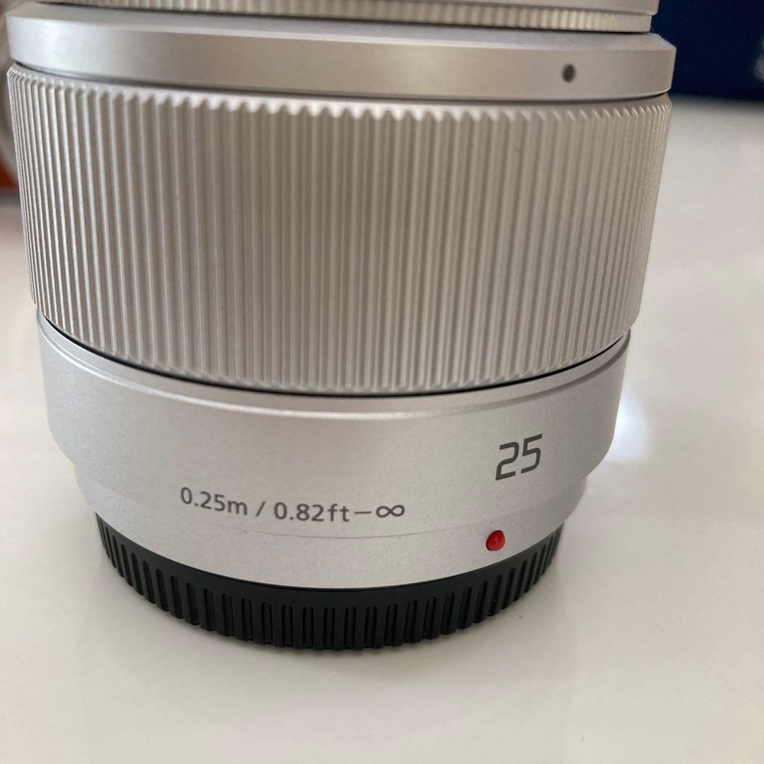 PANASONIC パナソニック　LUMIX DC-GF9W ダブルズーム