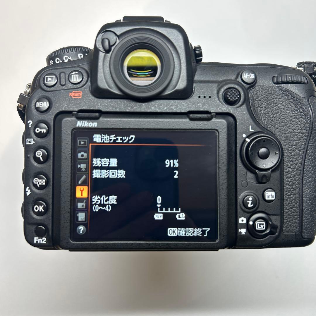 [ショット数16679・美品] Nikon D500 ボディ
