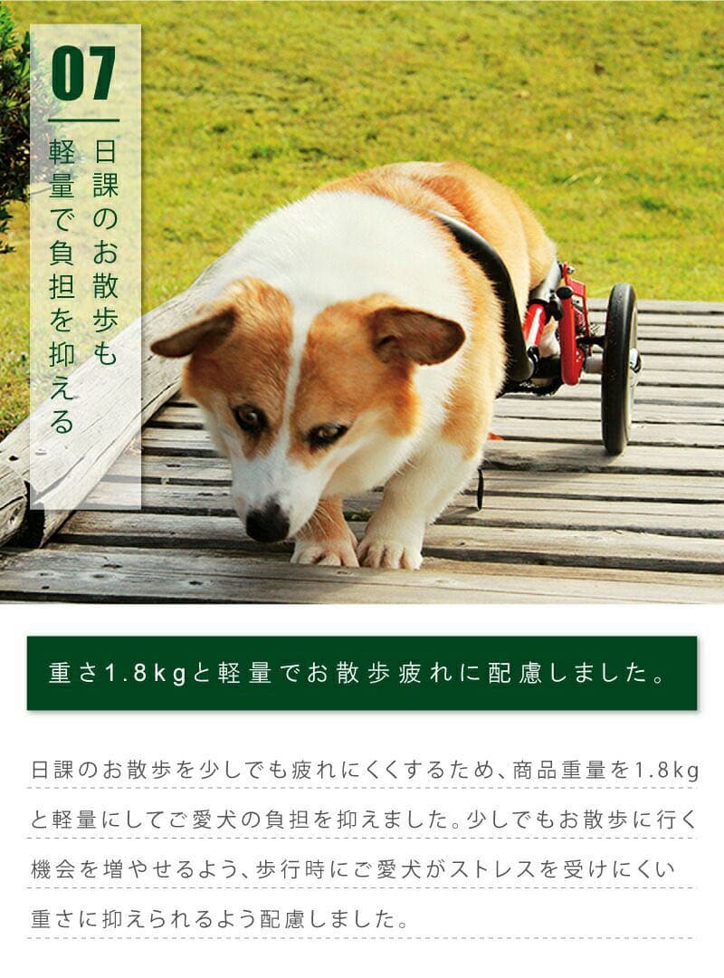 コーギー専用犬用車椅子 日本製