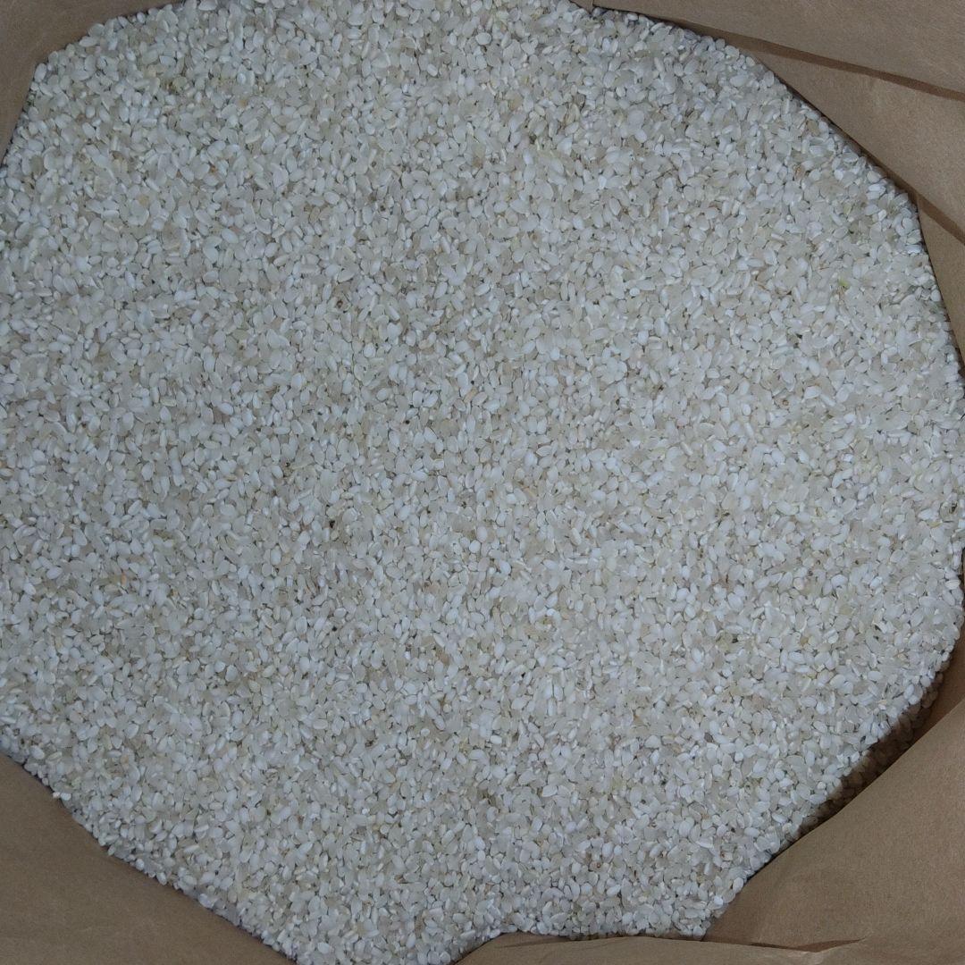 くず米　20kg　【飼料用】※説明欄必読