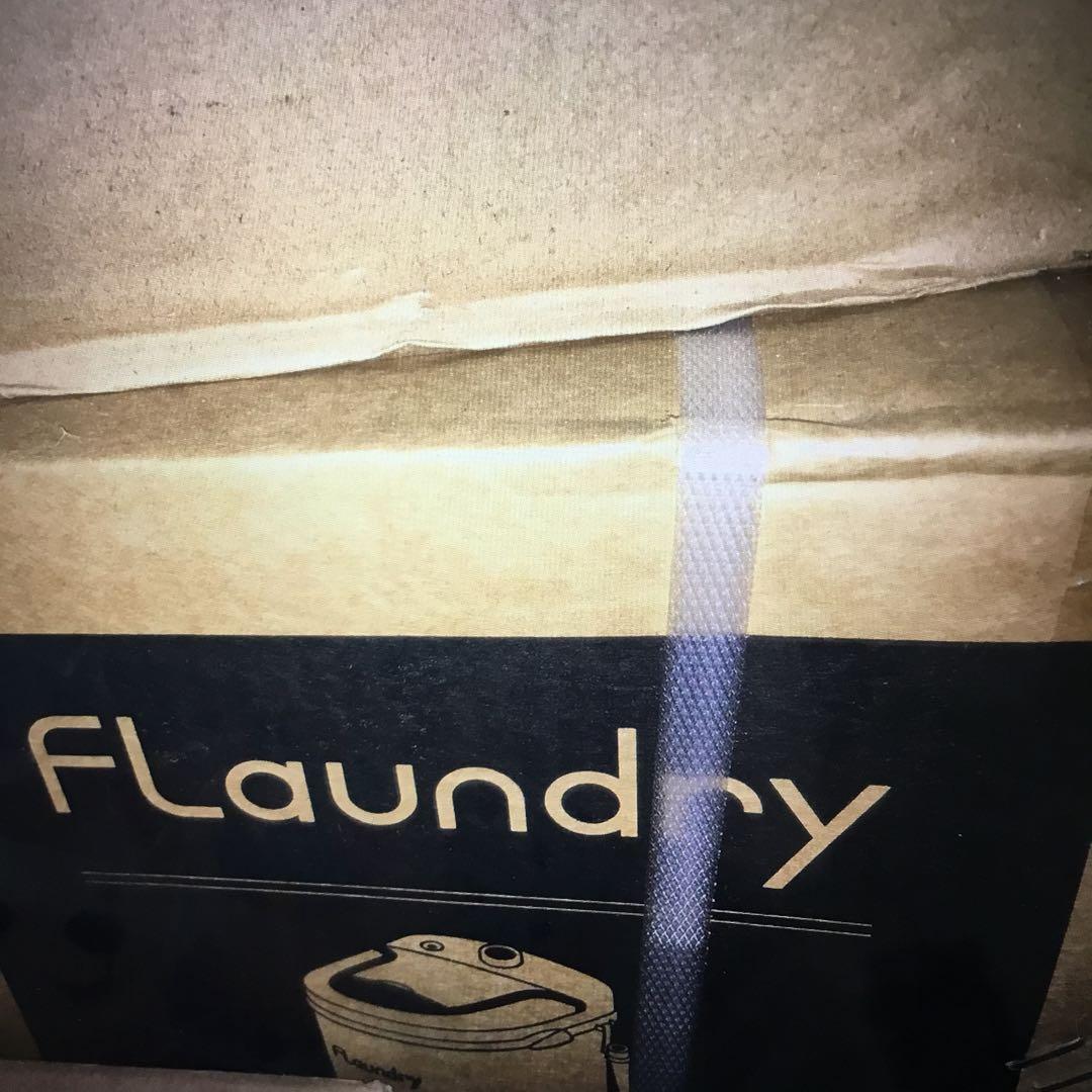 フランドリーFlaundry小型洗濯機しっかり洗えるミニ洗濯機容16.5L子供靴