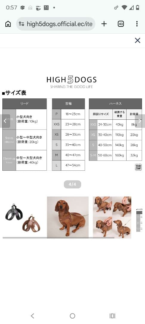 新品　HIGH 5 DOGS レザー ハーネス S