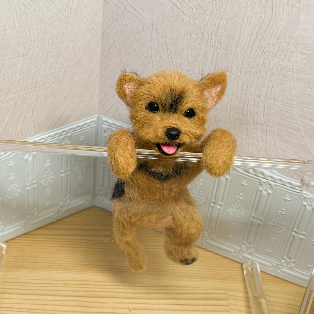 lo様ご確認用です