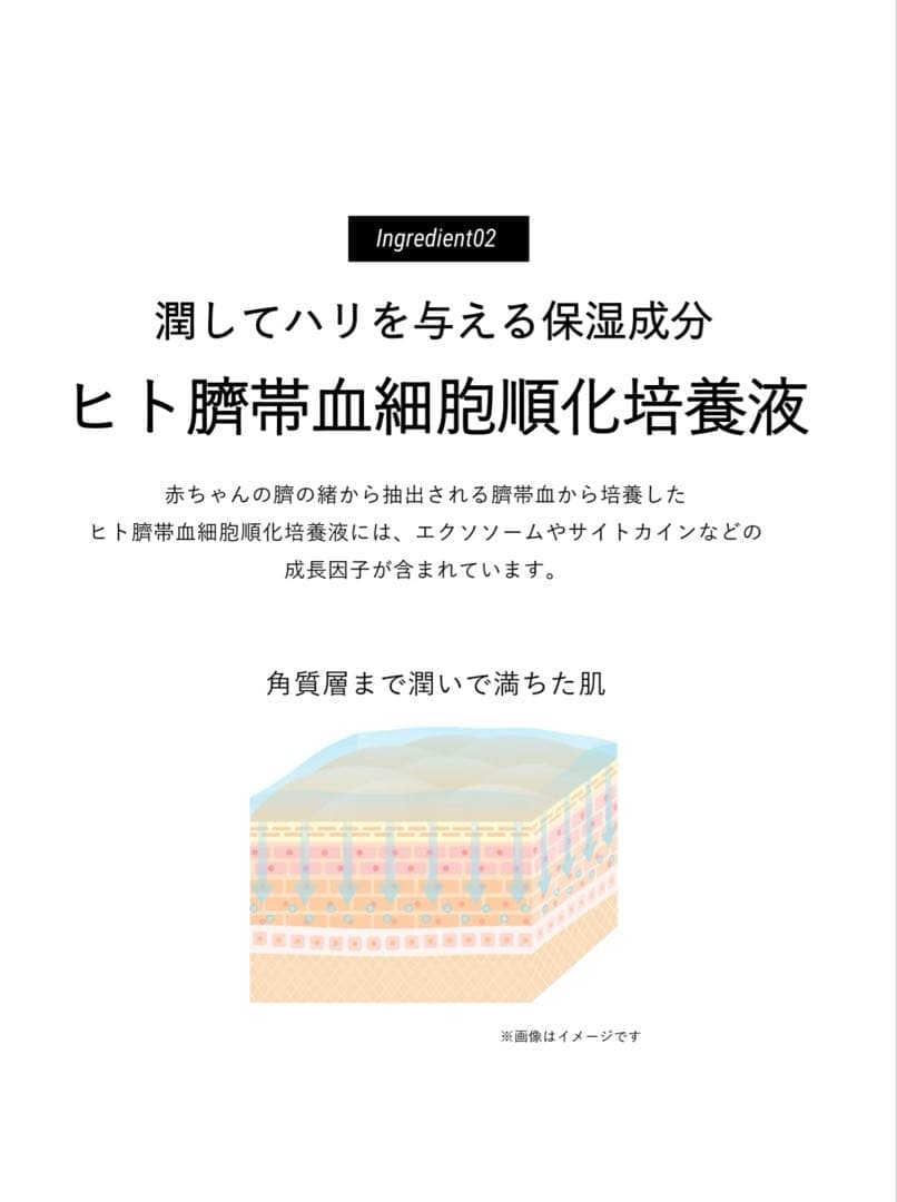 DeAMI クッションファンデ 本体＋リフィル 鈴木亜美 ディアミー