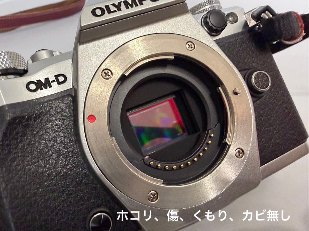 美品フルセットOLYMPUS OM-D E-M5 Mark2 Proレンズ付