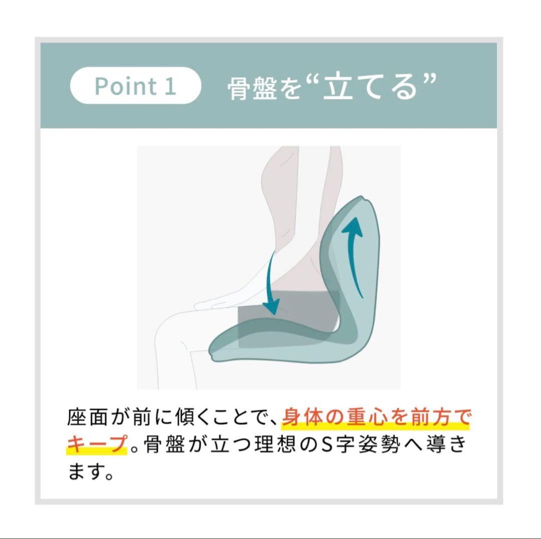 Style PREMIUM （スタイルプレミアム）骨盤矯正イス グレー