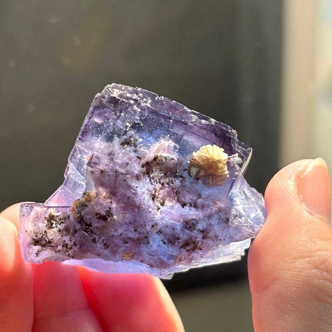 中国　ヤオガンシャン産　パープルブルー　フローライト　原石　鉱物標本